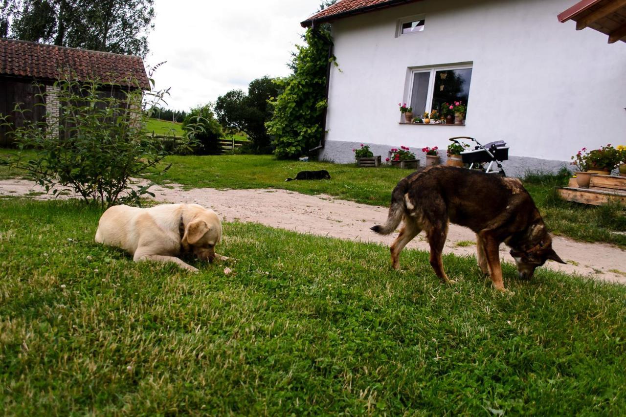 Zakatek Szczescia Eko Agroturystyka Kiwity Exterior foto