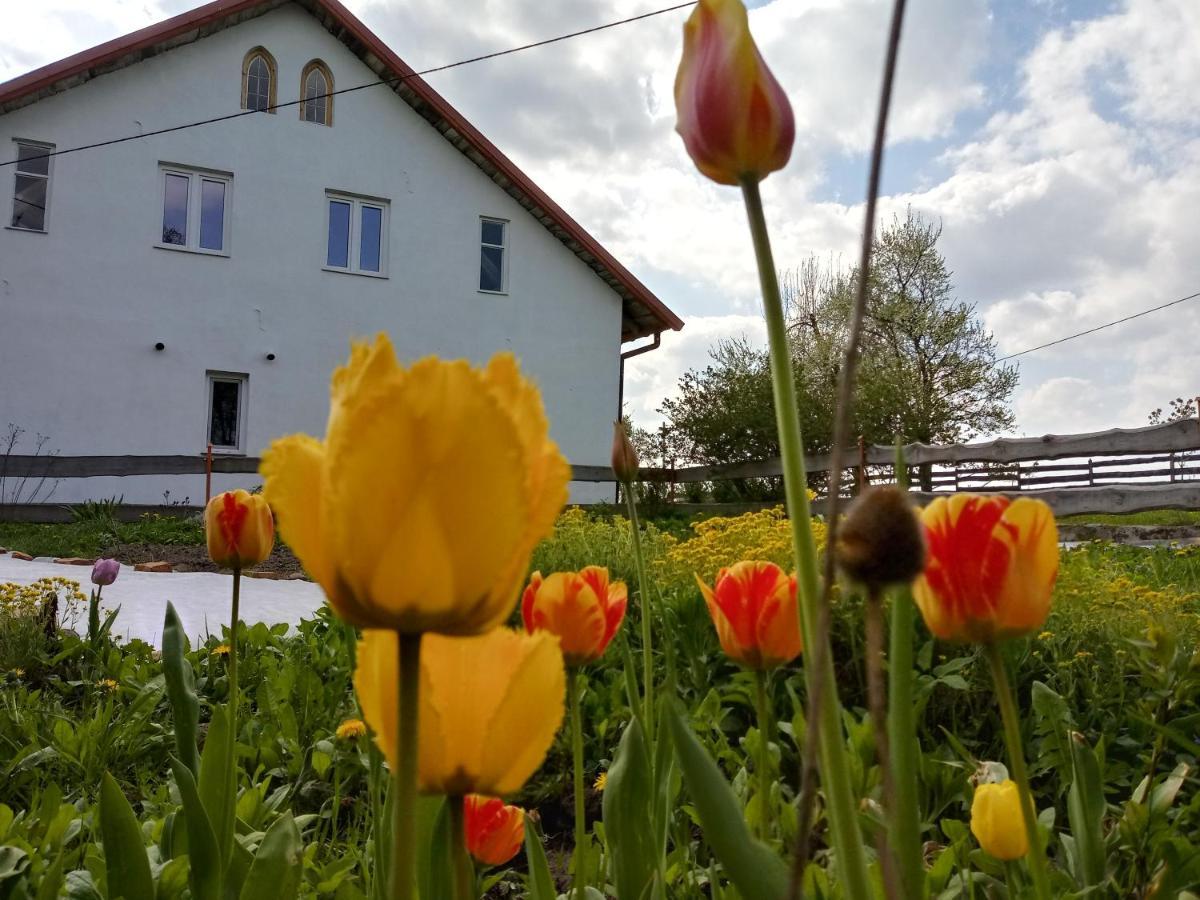 Zakatek Szczescia Eko Agroturystyka Kiwity Exterior foto
